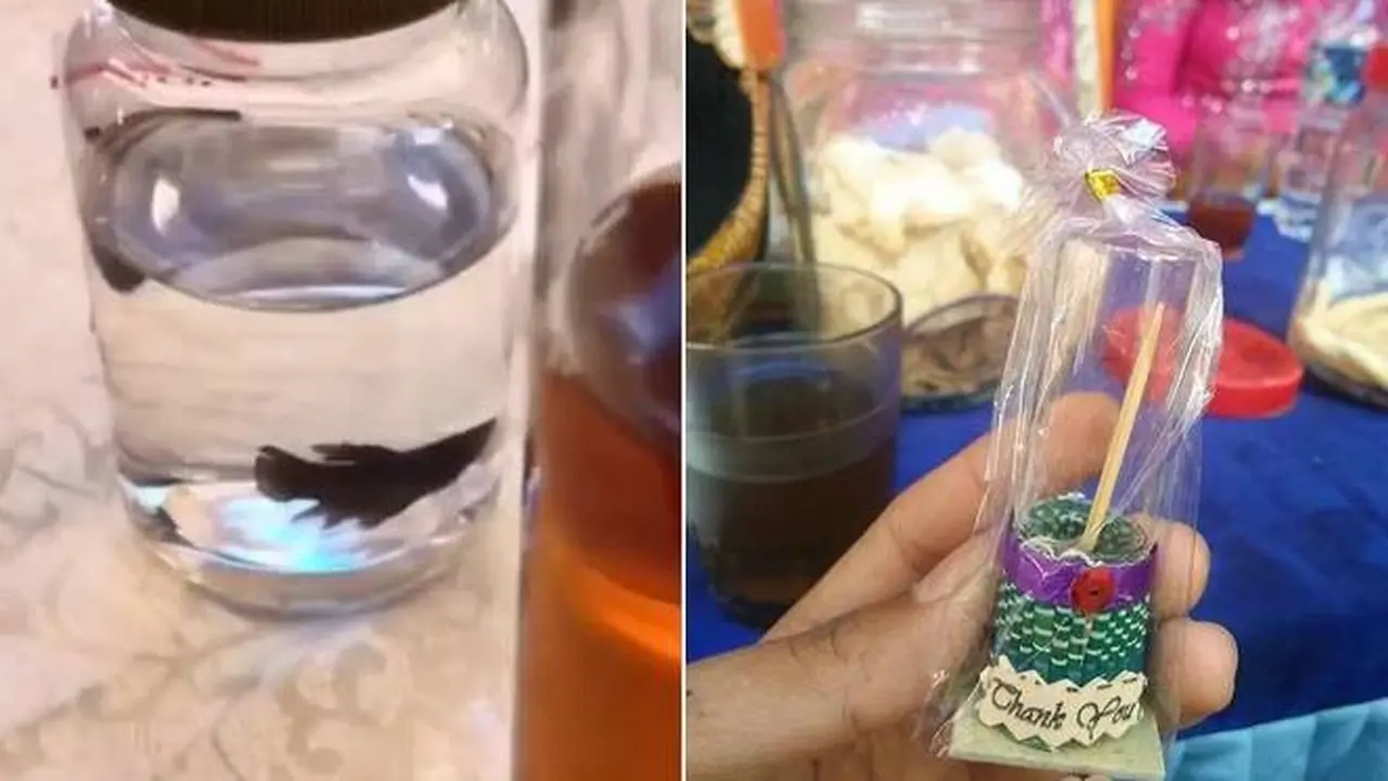 7 Potret Souvernir Kondangan Unik, dari Tusuk Gigi Hingga Ikan Cupang