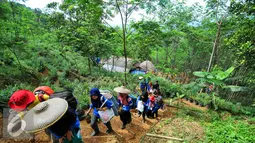 Suasana pertanian milik WIKA di daerah Leuwiliang yang ditanami pohon Sengon, Bogor, Selasa (31/5/2016). Selain pohon Sengon, para petani di pertanian ini juga menanan jahe merah dan ternak sapi. Liputan6.com/Yoppy Renato)