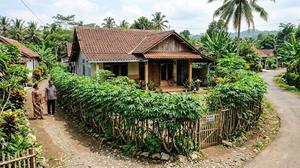 10 Ide Pagar Rumah dari Tanaman Hidup yang Murah, Bisa Dibuat Sendiri