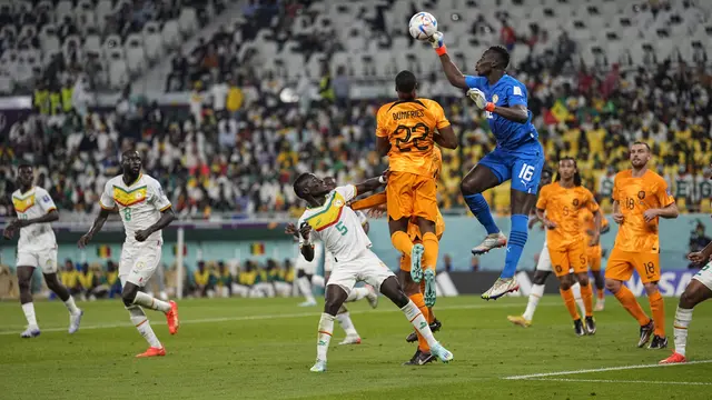 Belanda Susah Payah Tundukkan Senegal di Piala Dunia 2022