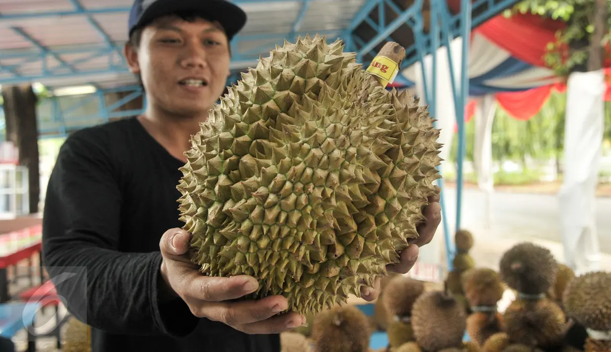 Pedagang menunjukan jenis durian montong di Loksem Pusat Penjualan Durian, Jalan TMP Kalibata, Jakarta Selatan, Kamis (9/2). Pemprov DKI Jakarta bangun Loksem Pusat Penjualan Durian di Kalibata. (Liputan6.com/Yoppy Renato)