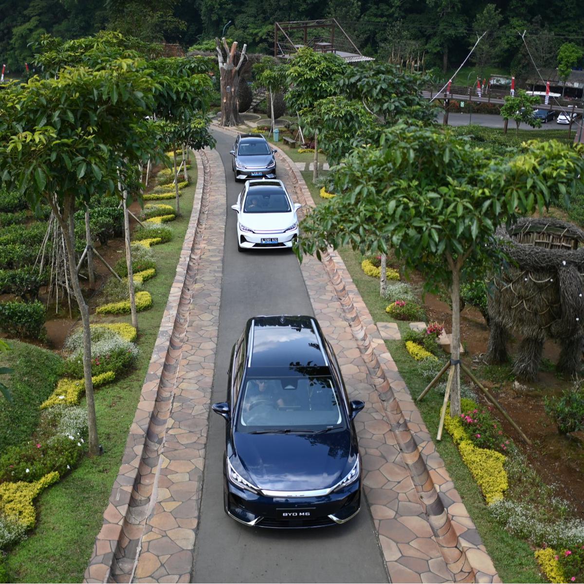 BYD M6