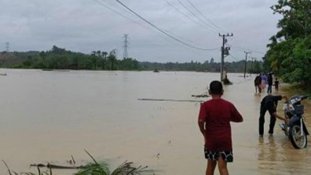 Dampak Banjir Aceh Timur: Kerugian Perikanan Capai Rp2,64 Triliun, Ribuan Tambak Rusak Parah
