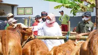 Bupati Banyuwangi Ipuk Fiestiandani  Tinjau Pasar Hewan ternak sapi untuk pastikan hewan ternak bebas PMK (Istimewa)