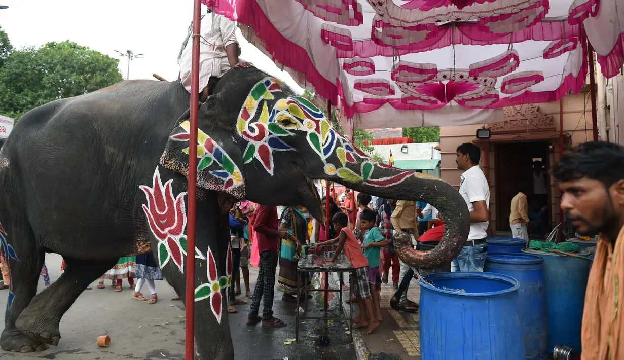Seekor gajah meminum air setelah dilukis jelang festival Hindu Rath Yatra di Ahmedabad, India (3/7/2019). Banyak kuil di India, termasuk kuil Jagannath di Ahmedabad mengadakan Rath Yatra, yang secara tradisional merupakan parade gajah yang dihias di festival-festival Hindu. (AFP Photo/Sam Panthaky)