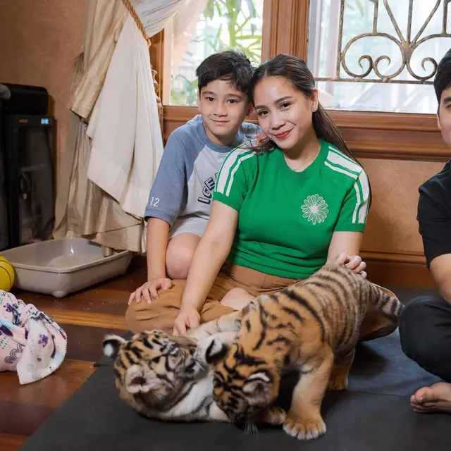 7 Potret Nagita Slavina Bareng Cipung Main dengan Anak Harimau Ini Bikin Gemas