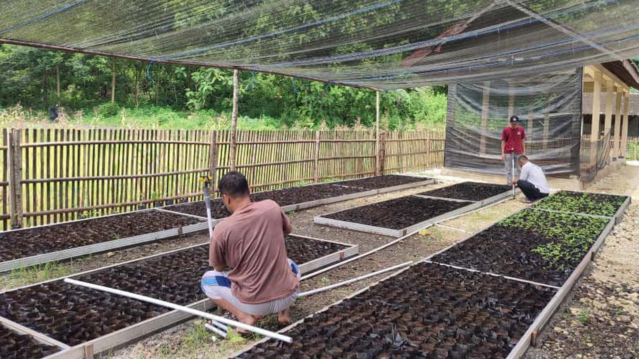 Cerita Petani di Gunung Kidul Manfaatkan Teknologi Modern untuk Jaga Pasokan Biomassa