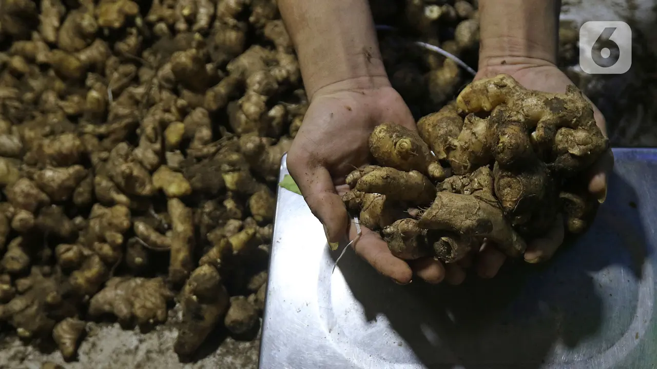 Harga Jahe Hingga Temulawak Naik
