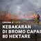 Kebakaran di Bromo Capai 80 Hektare
