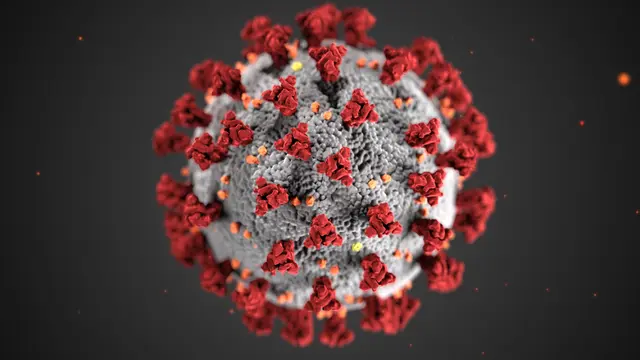 Ilustrasi virus corona/ Pexels