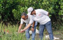 ITS dan BRIDA Surabaya Inisiasi Laboratorium Hidup Mangrove, Perkuat Riset Ekosistem Pesisir