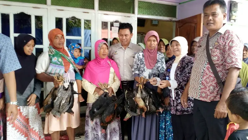 6 Ekor Ayam, Modal Baru Warga Brebes Keluar dari Kemiskinan