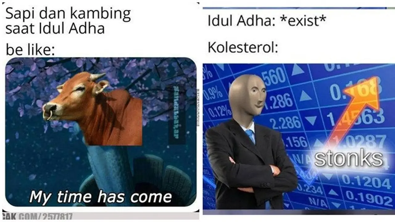 8 Meme Kocak Jelang Iduladha Ini Bikin Baper