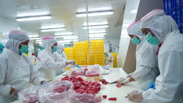 Distribusi Ikan Hasil Budidaya dan Tangkapan