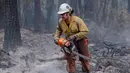<p>Seorang petugas pemadam kebakaran bekerja untuk menahan api Cedar Creek di sebelah timur Oakridge, Oregon, Senin (12/9/2022). Kebakaran di Cedar Creek merupakan satu di antara 21 kebakaran di Oregon. (Photo by Dan Morrison/AFP)</p>