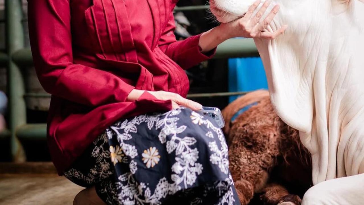 Maudy Koesnaedi Seru-Seruan di Aviary DeHakim, Kenalan dengan Salsa si Sapi hingga Kagum dengan Hutan Mini di Tengah Kota!