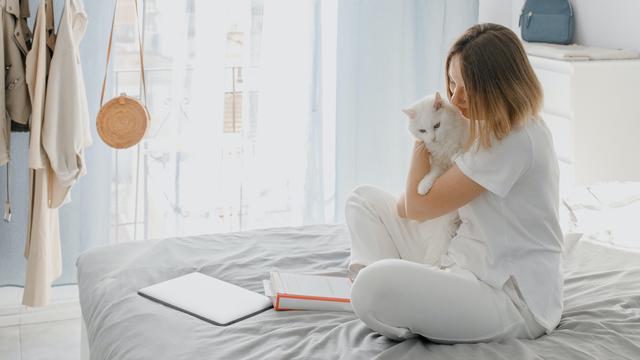 5 Kepribadian Unik yang Dimiliki Pecinta Kucing, Kamu Termasuk?