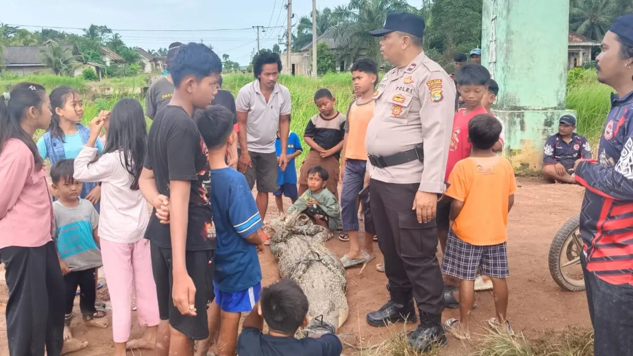 Nelayan di Lampung Duel Lawan Buaya saat Perbaiki Jaring
