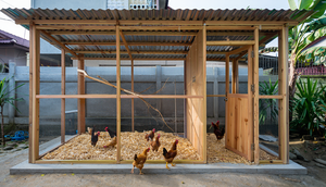 Ide kandang ternak ayam ukuran 2x2 meter di belakang rumah (Foto: Reve Art AI)
