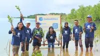 CarbonEthics Terus Memperluas Cakupannya Ke Lahan Gambut dan Ekosistem Hijau untuk Pengembangan Proyek Karbon Biru Berkualitas Tinggi