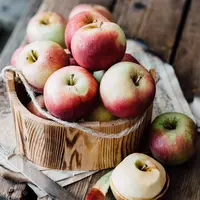 copyright by Pixabay