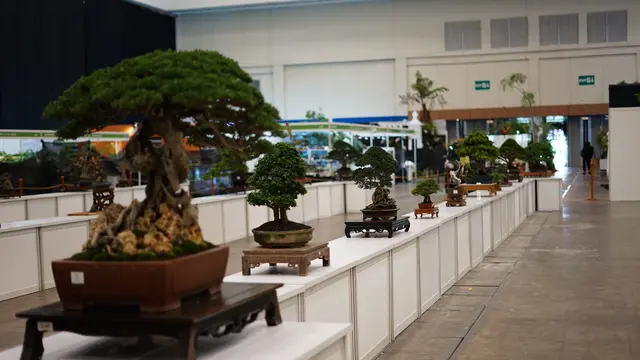 FLOII Expo 2025