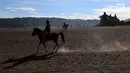 Joki kuda melintas di kawasan di Taman Nasional Bromo Tengger Semeru, Jawa Timur, Sabtu (4/11). Penduduk sekitar menyediakan jasa penyewaan kuda untuk wisatawan yang akan keliling Gunung Bromo. (Liputan6.com/Fery Pradolo)