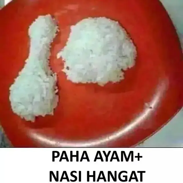 6 Potret Ayam dari Nasi Ini Nyeleneh, Menu Anak Kos di Akhir Bulan