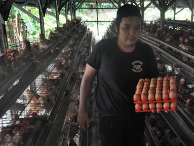 Pekerja membawa telur ayam yang baru dipanen di salah satu peternakan kawasan Pengasinan, Bogor, Selasa (28/12/2021). Menurut peternak setempat, dua hari terakhir harga telur ayam ras di tingkat peternak mulai mengalami penurunan dari Rp30 ribu menjadi Rp28 per kilogram. (merdeka.com/Arie Basuki)