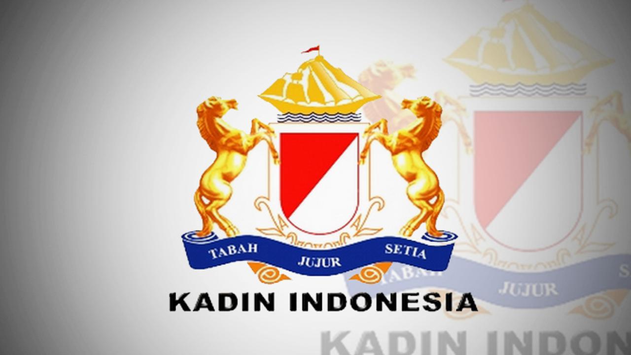 kadin-131111b.jpg