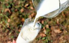 7 Manfaat Buttermilk untuk Kesehatan, Lancarkan Sistem Pencernaan
