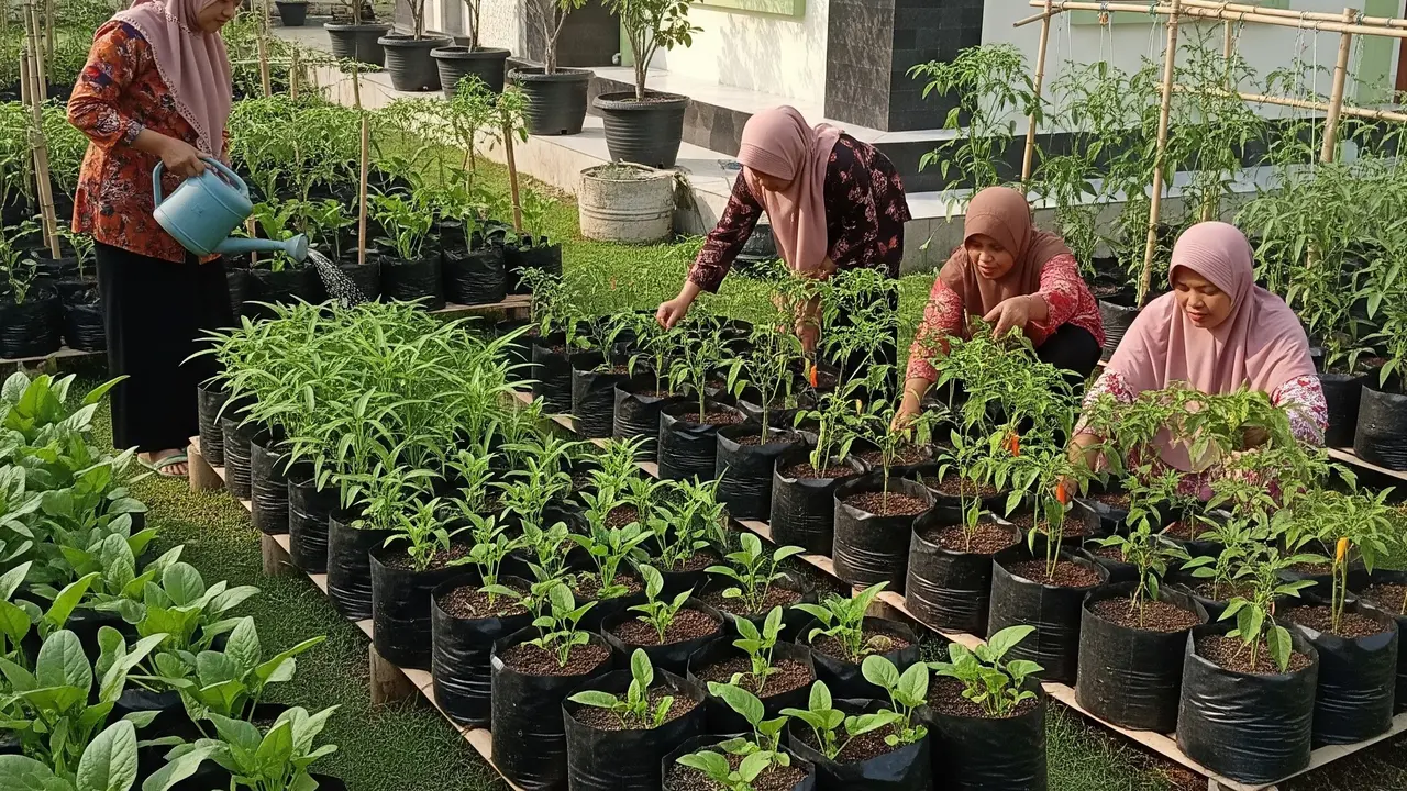 9 Ide Kebun Sayur untuk Ibu-Ibu Jamaah Masjid, Hasil untuk Bersama