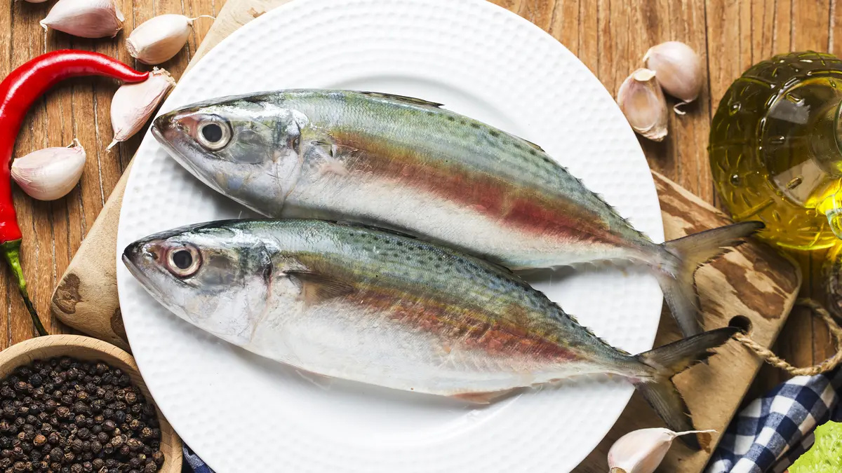 Penafsiran Arti Mimpi Melihat Ikan Mati Yang Menyentuh Hati