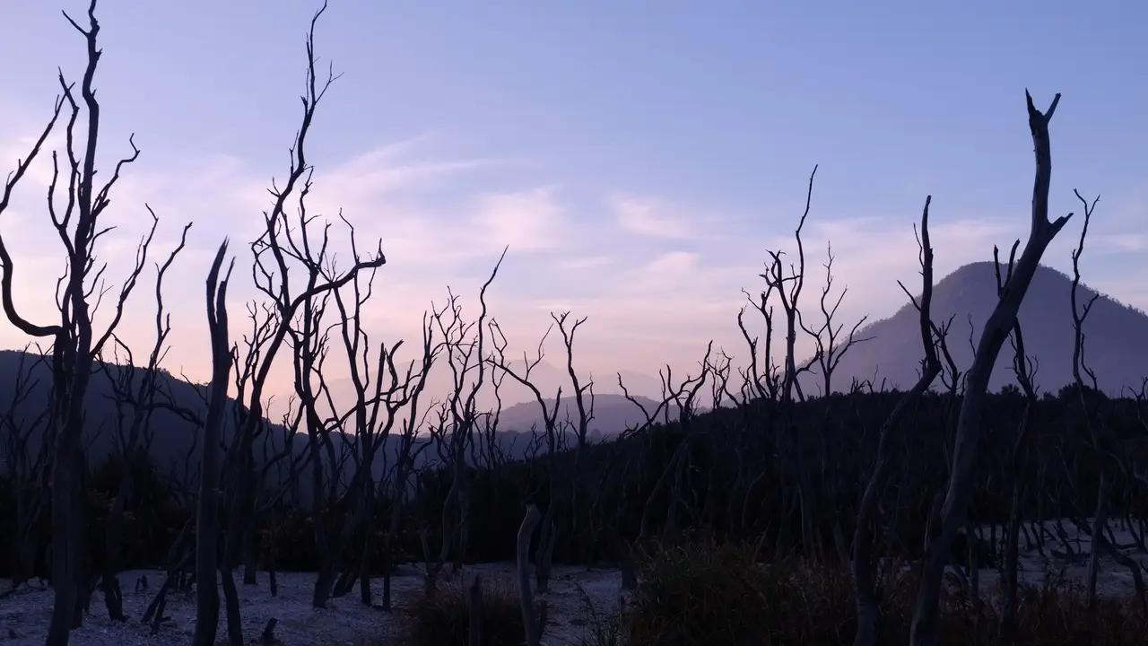 Ilustrasi tempat wisata Gunung Papandayan, Garut