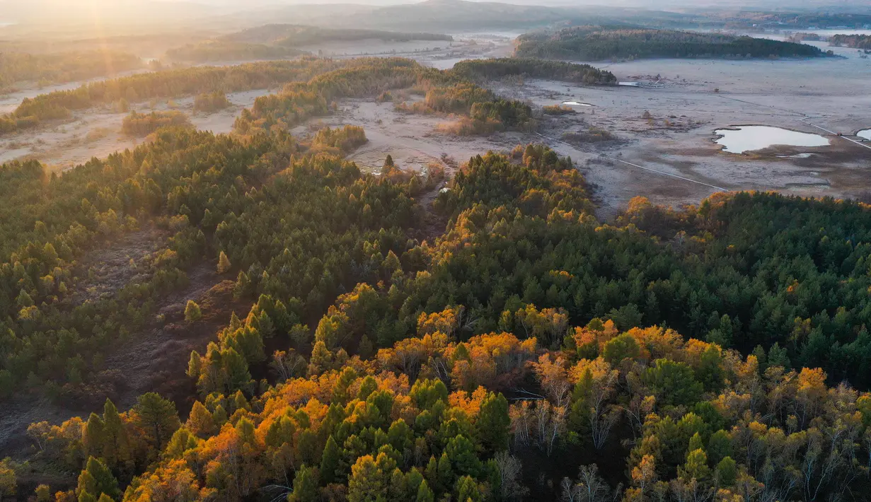 Foto dari udara yang diabadikan pada 27 September 2020 ini menunjukkan pemandangan musim gugur di Taman Hutan Nasional Saihanba di Chengde, Provinsi Hebei, China utara. (Xinhua/Liu Mancang)