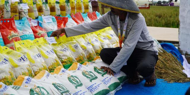 Bapanas Sebar 600 Ribu Ton Beras SPHP hingga Akhir Januari 2026
