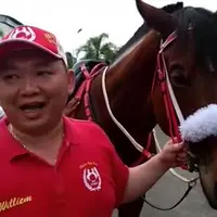 Di resepsi dan di pesta adat Kahiyang & Bobby banyak  kuda dan kereta kencana.