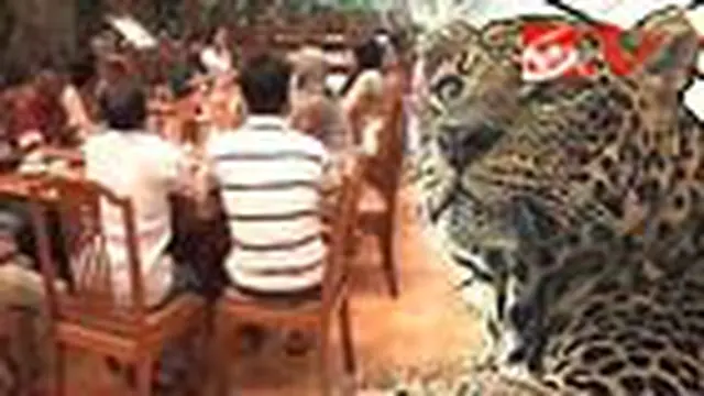 Bersantap Sambil Melihat Hewan ala Taman Safari
