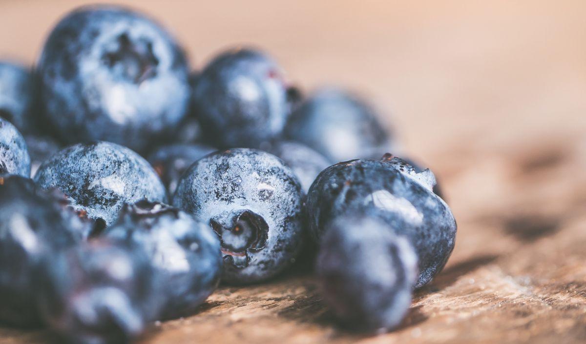 Blueberry