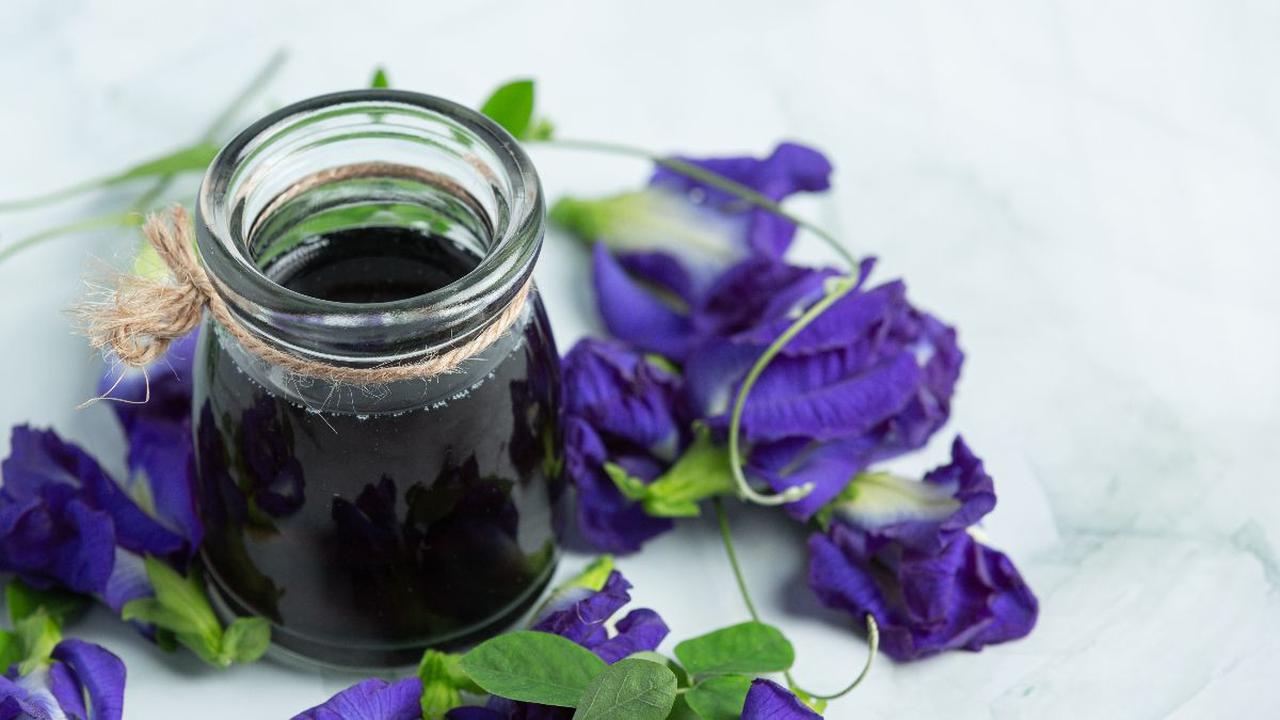 5 Resep Minuman Bunga Telang yang Menyegarkan dan Menyehatkan