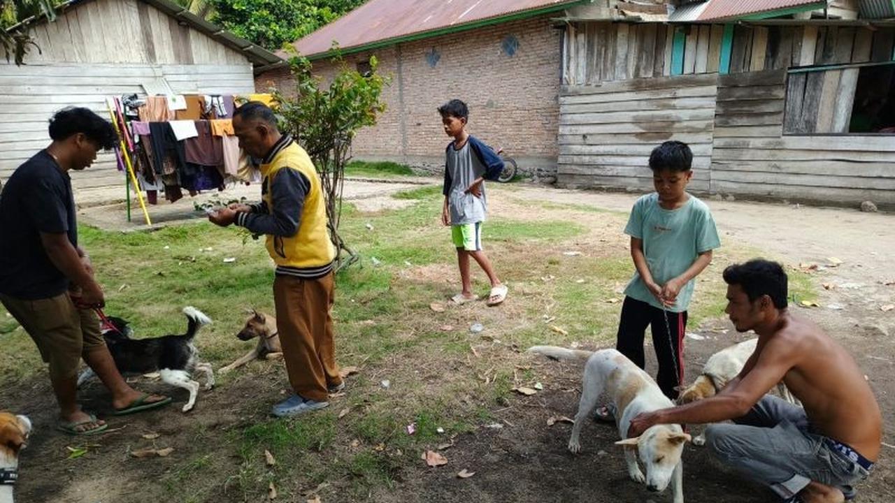 Waspada Rabies Pasaman Barat: 105 Kasus Gigitan Hewan Terjadi dalam 8 Bulan, Stok Vaksin Aman!