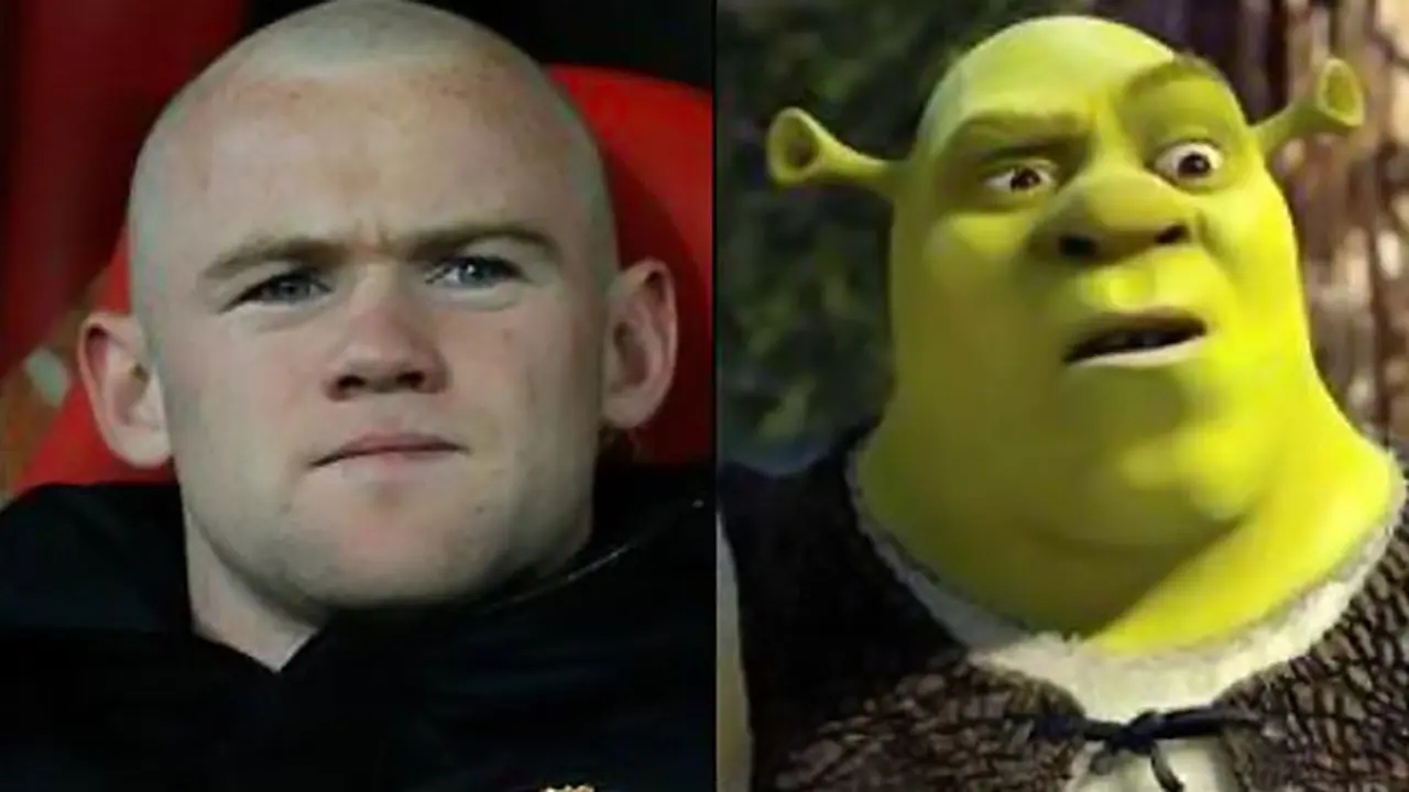 rooney-shrek-140123b.jpg