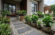 13 Tanaman Bunga Putih yang Cocok untuk Taman Minimalis, Hadirkan Kesan Asri