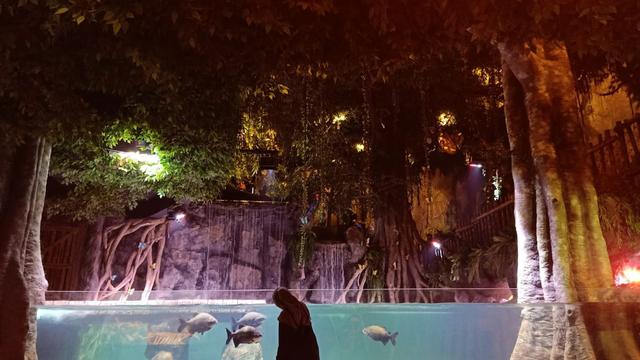 Belajar Satwa di BXSea Oceanarium dalam Mal Bintaro, Bisa Diakses Langsung dari Stasiun Jurangmangu