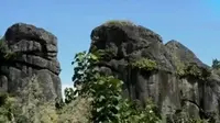 Batu Bersusun secara alami ada di Desa Solor, Bondowoso, Jawa Timur. (Liputan 6 SCTV)