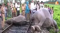 [VIDEO] Dari Gajah Ditabrak Kereta Hingga Derek Menimpa Apartemen