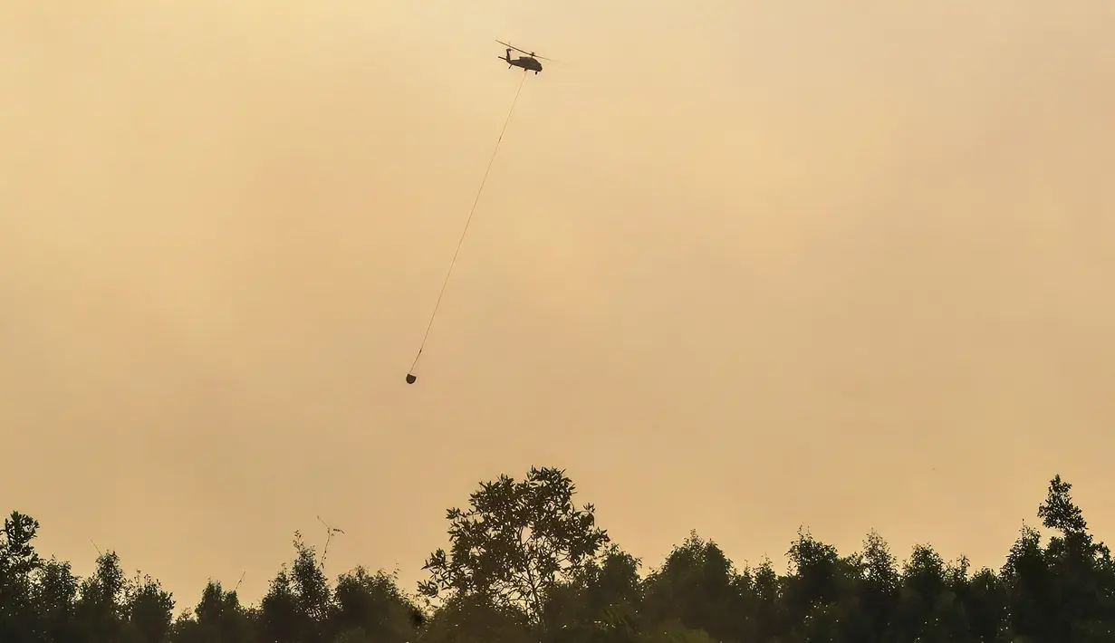 Petugas pemadam kebakaran menggunakan helikopter memadamkan kebakaran hutan pada lahan gambut seluas lebih dari 100 hektar) di Pulang Pisau, Provinsi Kalimantan Tengah, Indonesia, Jumat, 31 Juli 2026.  (AFP/ Reina)