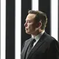 Elon Musk. (Patrick Pleul/Pool via AP, File)