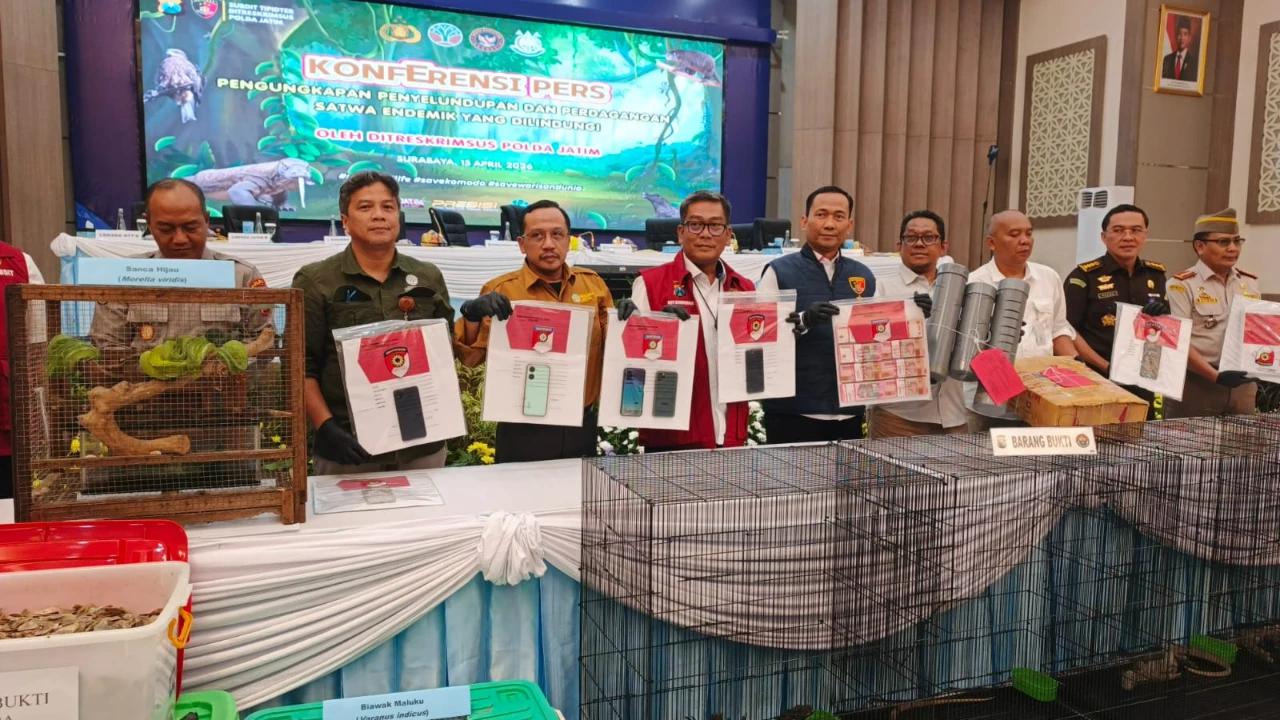 Sindikat Perdagangan Satwa Dilindungi Terbongkar, Ada Komodo Mau Dijual Harganya Fantastis