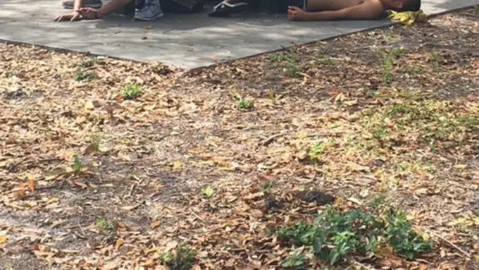 Layaknya 'Zombie,' Sejumlah Warga di Amerika Tak Sadarkan Diri